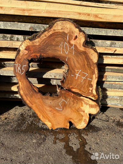 Спил карагач