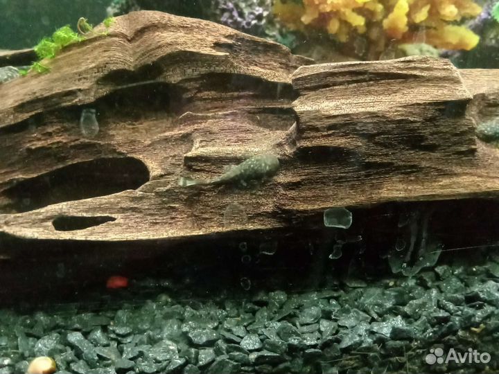 Украшение для аквариума