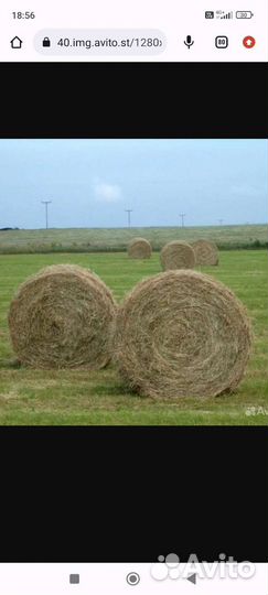 Сено,люцерна в рулонах