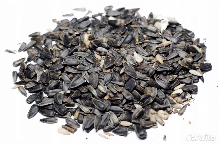 Жом,Жмых,Семечка кормовая