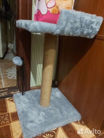 Когтеточка для кошек бу