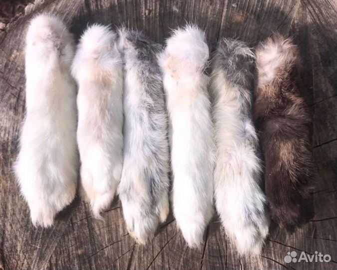 Лапка Кролика на цепочке заряженная