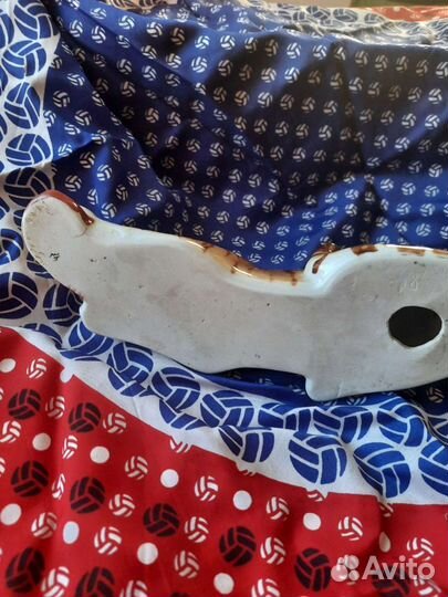 Тигр с мясом