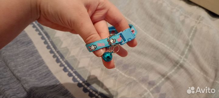 Ошейник для кошек