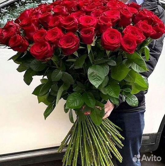 Длинные высокие розы 110 150 160 180 200 см