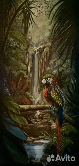 Тропический лес