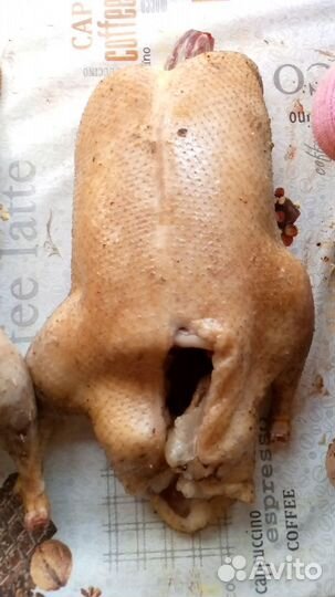 Утка домашнее мясо