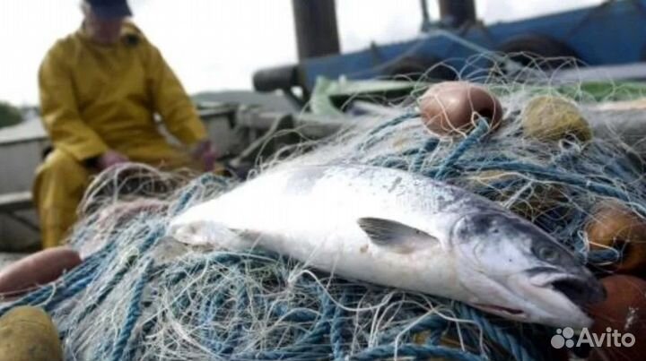 Рыбалка/Отдых на реке Печора