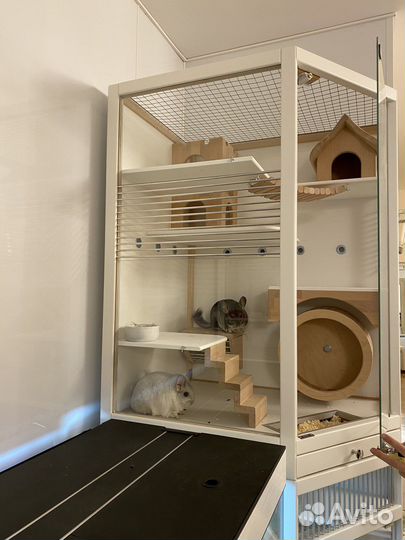 Витрина для шиншилл, дегу «Восход»