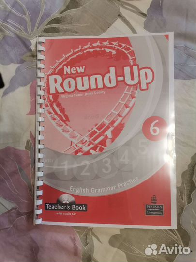 New Round up Teacher's book