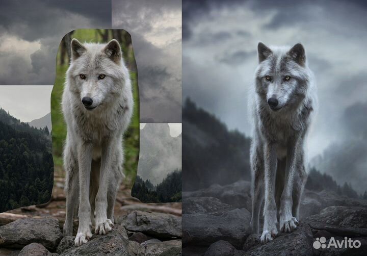 Photohop+Lightroom 20GB План для Фотографов