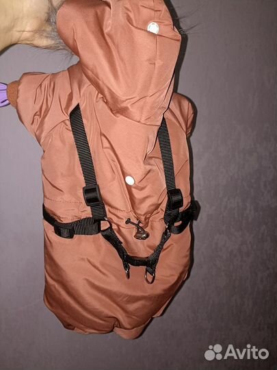 Комбинезон для маленькой собаки