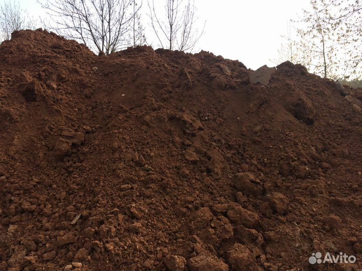 Приму грунт