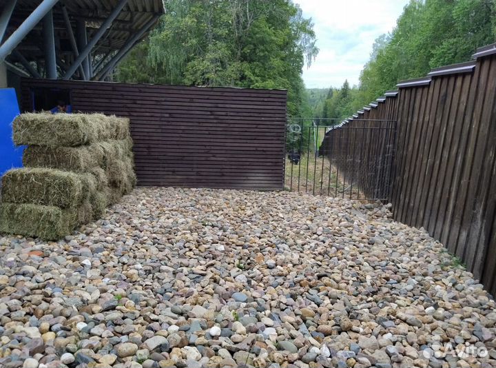 Сено разнотравье 2023 год