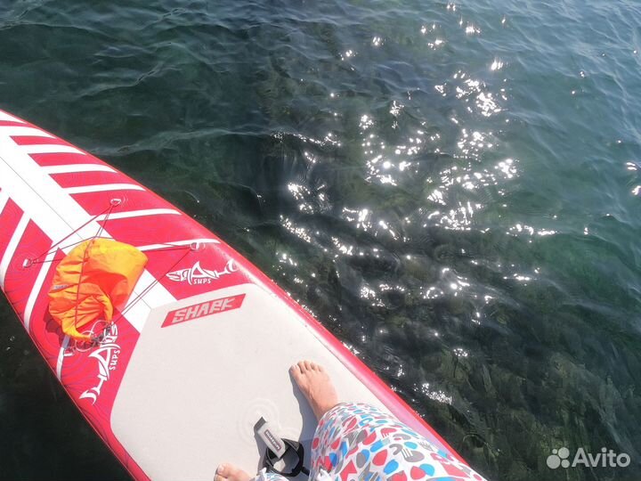 Sup board Shark touring traveler 12'6