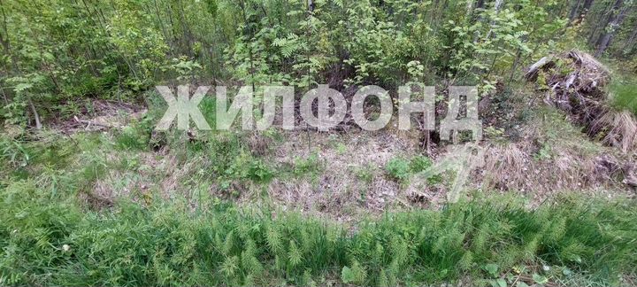 Участок 15 сот. (ИЖС)