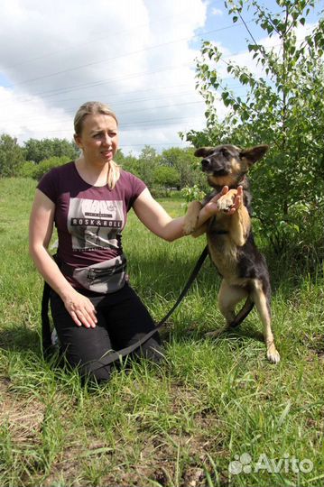 Щенок Дафна из приюта