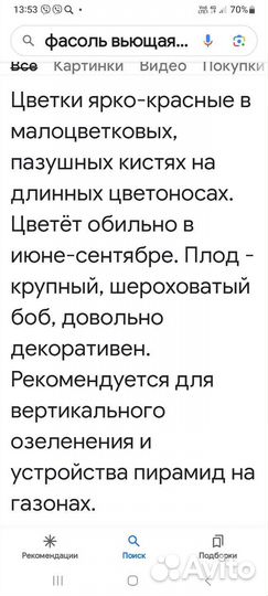 Фасоль вьющаяся,декоративная