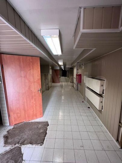 Торговая площадь, 364.1 м²