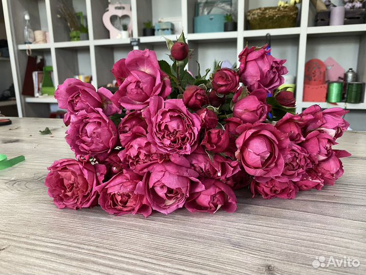 Кустовая пионовидная роза, розы оптом, пионы