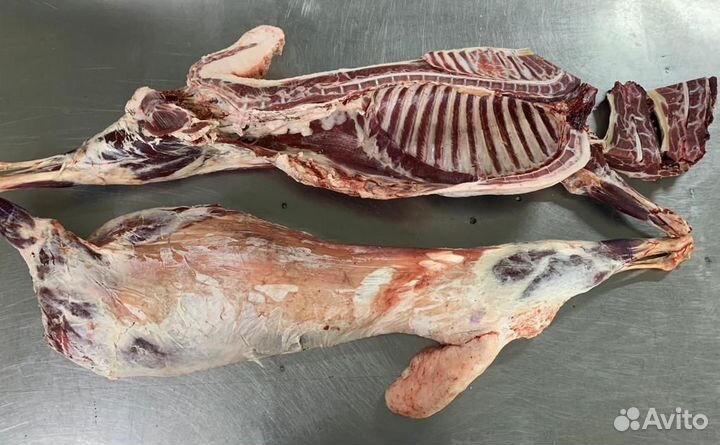 Баранина мясо домашнее