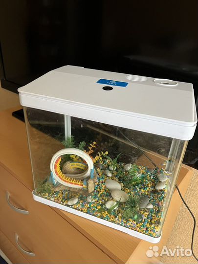 Аквариум