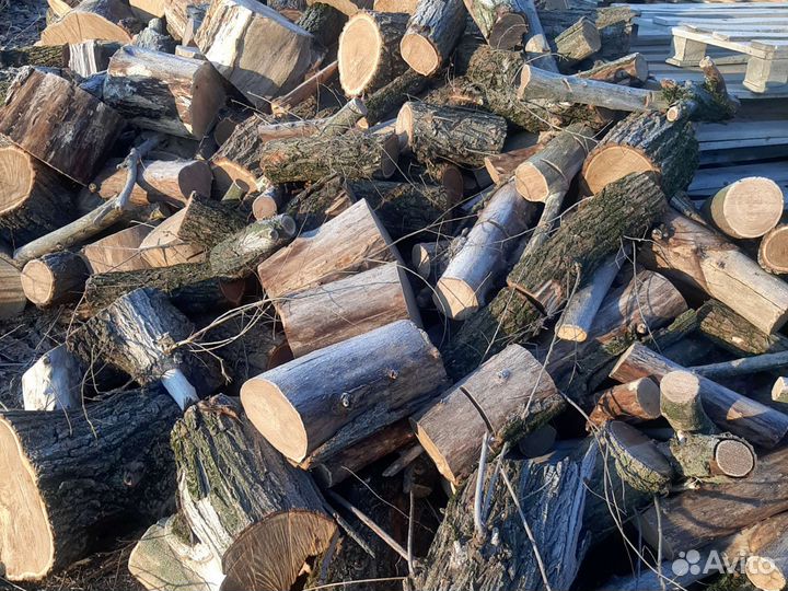 Сухие дрова спилы карагач мелко напилены