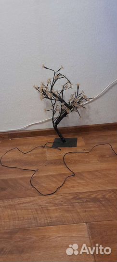 Сакура ночник