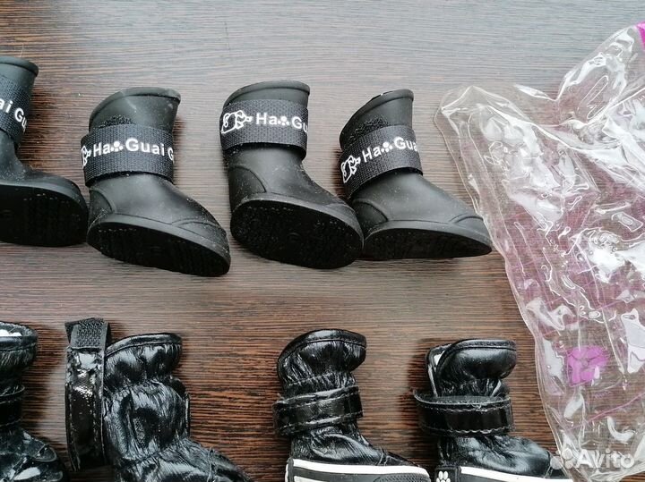 Сапоги для собак