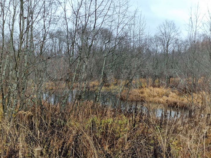 Участок 100 сот. (СНТ, ДНП)