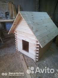 Собачья будка