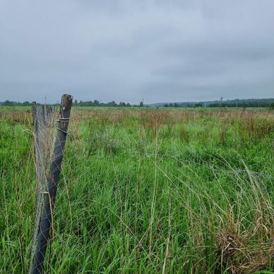 Участок 30 сот. (ИЖС)