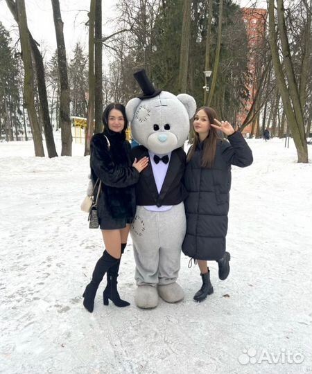 Мишка Тедди на поздравление