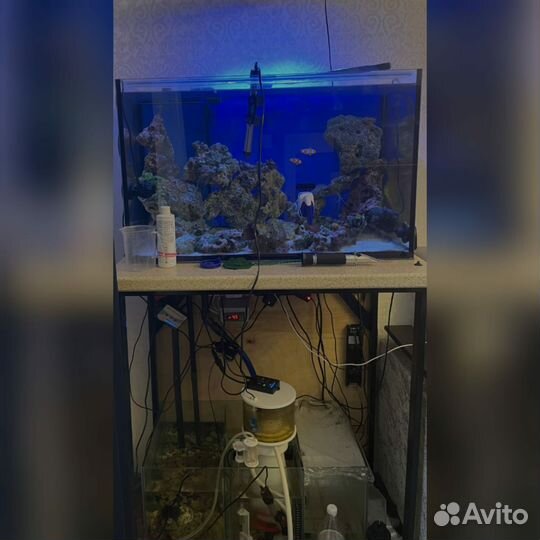 Морской аквариум