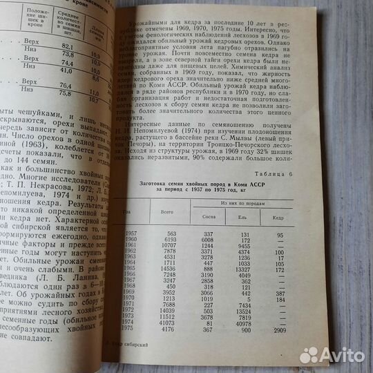 Кедр сибирский. Ларин, Филиппов. 1980 г