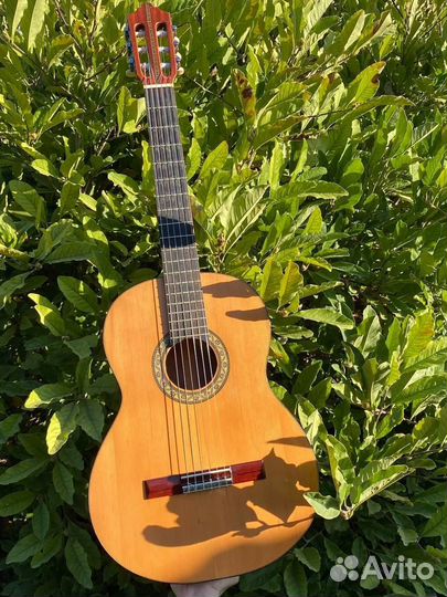 Акустическая гитара