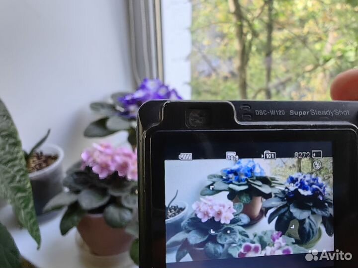 Фотоаппарат sony cyber-shot dsc-W120