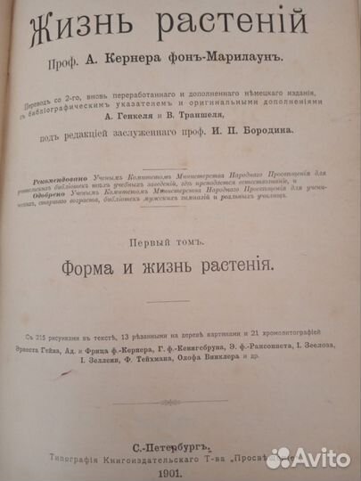 Книга растений. 2 том. Издание 1901 г А Кернер