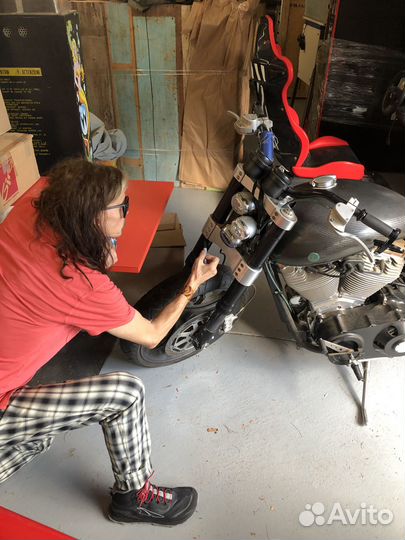 Confederate Hellcat of Steven Tyler Aerosmith