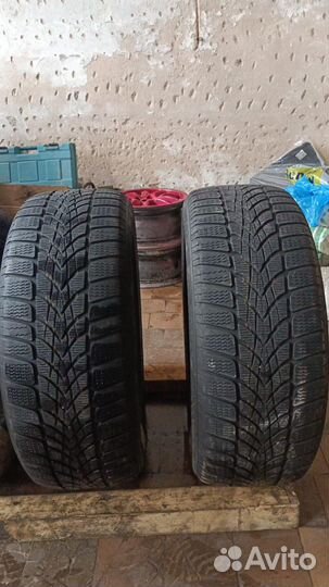 Dunlop All Season Maxx AS1 235/55 R19 и 335/50 R19