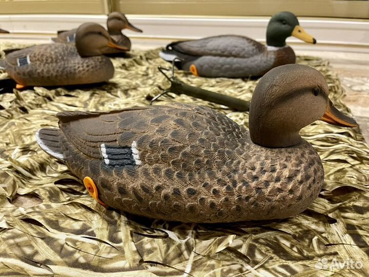 Чучела уток новинка