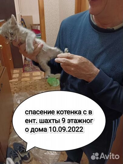 Зачистка ремонт вентиляции, дымоходов