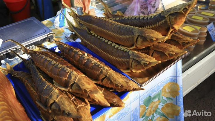 Золотое дно и цветок Будды. Астрахань