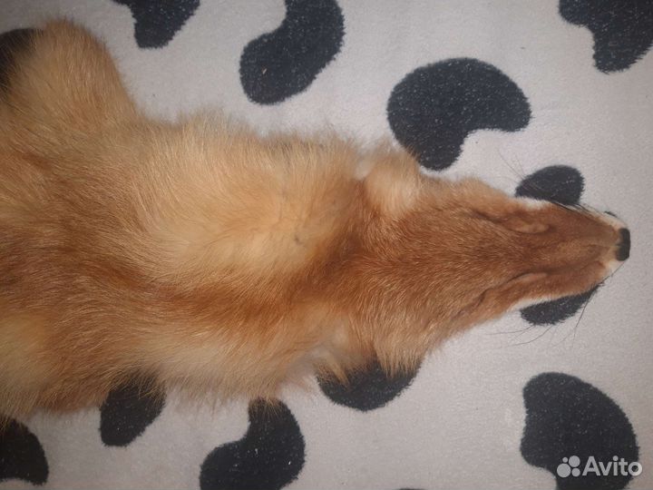 Шкуры лисы