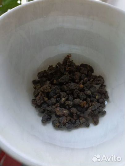 Китайский Чай Лютый