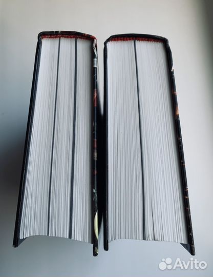 Уильям Ширер - Взлёт и падение третьего