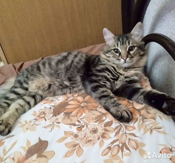 Смотрит прямо в душу