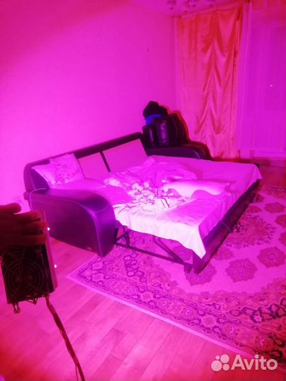 Фитолампа для растений, светильник