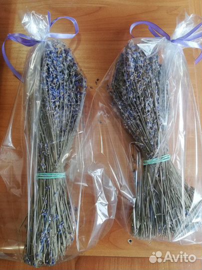 Лаванда сухоцвет