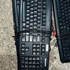 Клавиатура Microsoft 200 Wired Keyboard 1406 USB